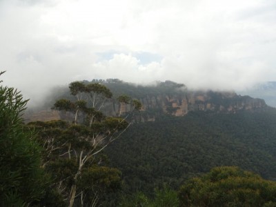 Blue Mountains 4.jpg