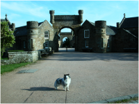 Ellie waiting for me outside the impressive entrance to Culzean Castle Home Farm.png