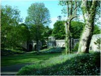 Culzean Castle Viaduct - designed in the 1780's to bridge the ravine as part of the main castle approach in a rather 'fanciful' way. .png