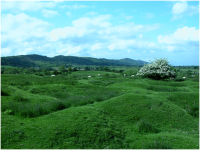 Looking up to the Malvern Hills – green and lovely.png