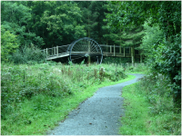 At  Kirroughtree, where one of the mountain bike trails passes over one of the walking routes.png