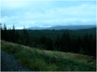 View out from Larg Hill Trail..png