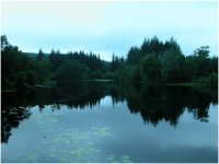 Calm and peaceful Bruntis Loch (after the rain).png