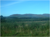 View out from Midge City, Galloway Forest Park.png