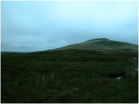 Looking up to Windy Hill (and yes, I did get right to the top ).png