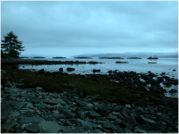 Fish farming on Loch Fyne.png