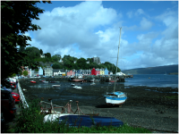 Tobermory in the sunshine.png
