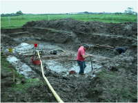 The 'soggy end' of archaeology – but a very interesting trench in which, eventually, the remains of a stone jetty and wooden pilings were found. .png