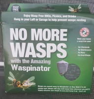 Wasps.jpg